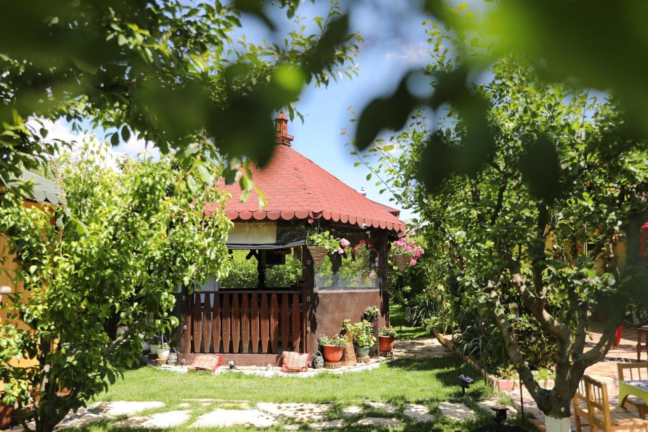 Casa Nita Βίλα Corbu  Εξωτερικό φωτογραφία